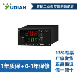 Yudian Instrument 지능형 온도 조절기는 델타를 대체합니다