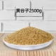 2500 г с Shell Huangguzi
