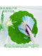 Thai Betta Rest Leaf, Avoid Leaf, Spawning Leaf, Simulated Lotus Leaf, Aquarium Decoration, Ornamental Landscaping, Rest Bed, Floating Island