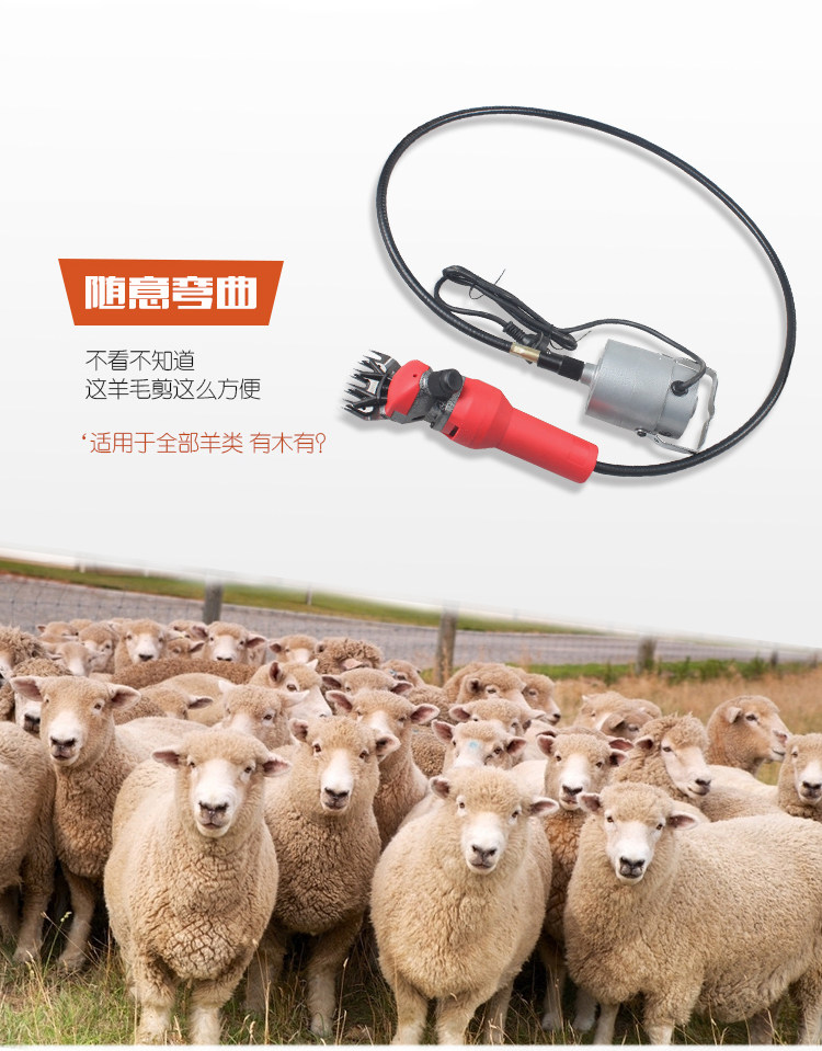 Ножницы 高效电动羊毛剪 软轴羊毛剪 羊毛推子 软轴一体电动羊毛剪羊毛机 Ansett along