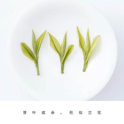 安吉白茶2020新茶明前散装茶叶珍稀正宗高山绿茶