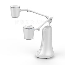 Great promotion vertical Ai youth single and double head special intelligent industry moxibustion instrument and Haozhi Ke Yunmei box chair bed Meridian