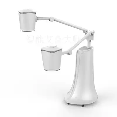 Great promotion vertical Ai youth single and double head special intelligent industry moxibustion instrument and Haozhi Ke Yunmei box chair bed Meridian
