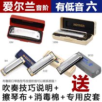 German HOHNER and coming paddy Irish soundstage ten 10 holes Blues harmonica sp20 with bass 6