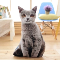 Симпатичный серый кот