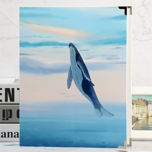 Книжная книжка с коллекцией билетов