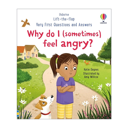 Почему я иногда злюсь Вопросы и ответы Флипбук на английском языке Оригинал Usborne Поднимите лоскут Самые первые вопросы и ответы Почему я иногда злюсь