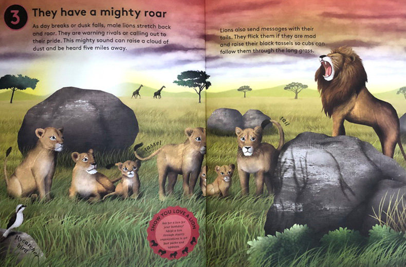 10个我喜欢你的理由凶猛的狮子英文原版10 Reasons To Love A Lion 英文版动物科普绘本保护动物亲子读物进口英语书籍 华研外语