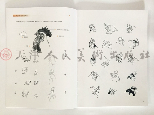 ОТДЕЛАЕТСЯ ТЕХНИКА ДЛЯ ХОРОШЕНИЯ ЦИТАКИ, Шедевры, Фотократная живопись, курица от руки как нарисовать курицу от руки как нарисовать куриные китайские живописи.