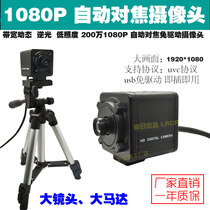 1080P HD auto focus Conference video teaching Low illumination industrial camera Distortion-free USB camera
