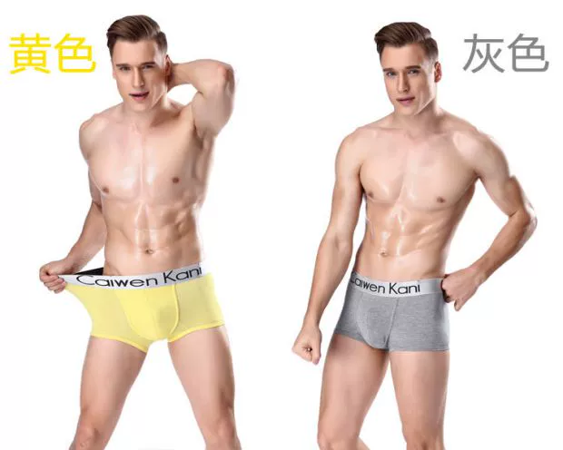 3 đồ lót thoải mái bằng cotton Đồ lót nam Boxer Thanh niên Tide Quần short nam Head Boxer Quần Quần lót nam ck01