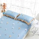 gối bông Nam Cực một cặp được nạp đơn áo khoác ký túc xá sinh viên gối gối da 45 * 75cm bông - Gối trường hợp gối cao su non cho trẻ sơ sinh Gối trường hợp
