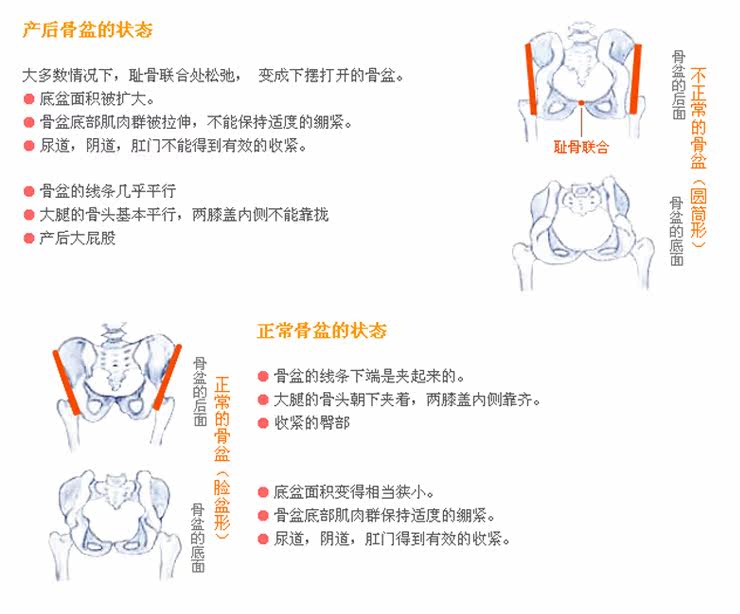 Corset BEPIT en nylon - Ref 682349 Image 11