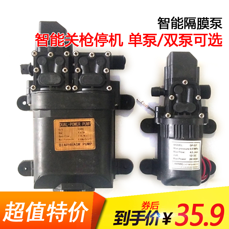 Electric Sprayer Pump High Pressure Intelligent Pump Small Motor Diaphragm Pump Self-Suction Pump Carwash Motor 12V 60W