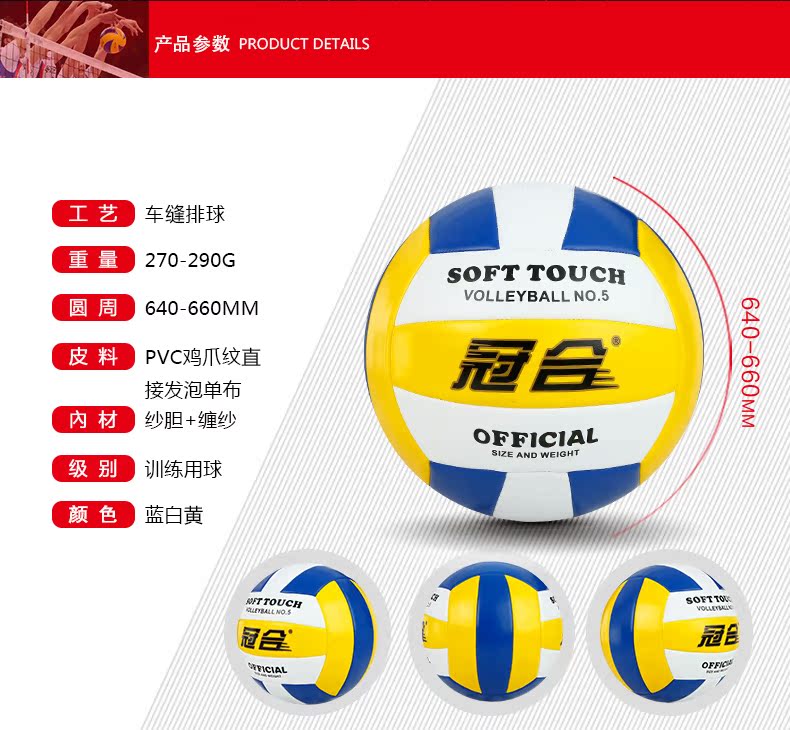 Ballon de volley - Ref 2013084 Image 13