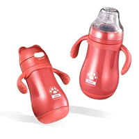 Jujube красный