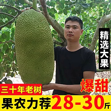 现摘现发海南菠萝蜜21-25斤[5元优惠券]-寻折猪