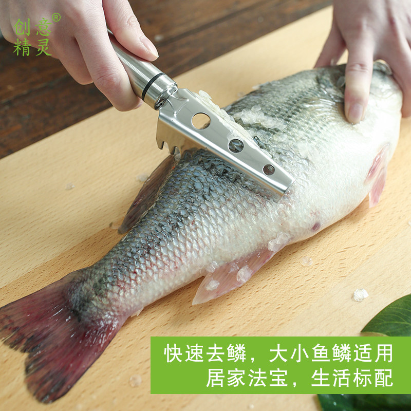 304 Stainless Steel Fish Scale Planing Home Scrape Fish Scale Deity Manual Kill Fish Cutter to Fish Scale Knife Kitchen Small Tools