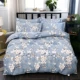 Chăn đơn mảnh mùa thu và mùa đông đôi 1,8m2 mét 180x220 200x230cm chà nhám dày đơn - Quilt Covers 	chăn phao doraemon	