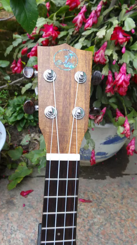 Nhạc cụ Bohai ● ukulele ukulele hanhai23 inch tất cả trong một bề mặt gỗ sáng HH-KOC - Nhạc cụ phương Tây