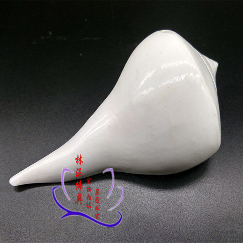 Buddhist supplies Nepal imported natural white snail right snail eight offerings medium