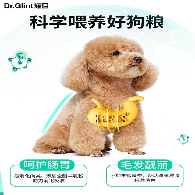 ອາຫານຫມາ dazzling Teddy Pomeranian, Bago, Corgi, Bichon Frize ອາຫານຫມາ, ອາຫານທໍາມະຊາດທົ່ວໄປສໍາລັບຫມາຜູ້ໃຫຍ່ແລະ puppies 1-12 ເດືອນ