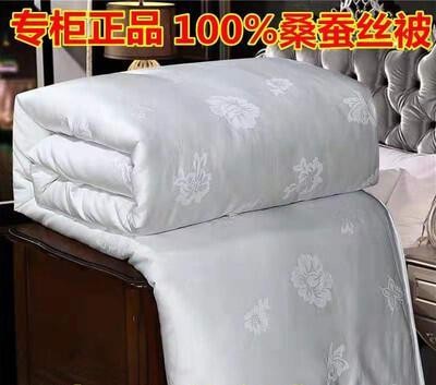 Handmade silk quilter by 100% mulberry silk air conditioning quilter by summer and cold by a single double spring autummy winter quilt core