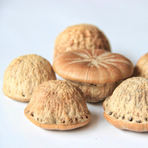 Tibetan specialty Merry fruit turtle head Tianzhu grain thick scale Ke bubble wine material 500g