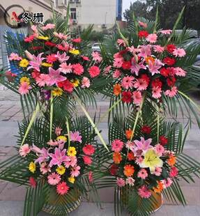 Открытие Yuxi City Flower Tongcheng Express Hongta District, округ Цзянчуан, округ Тонхай, графство Тонхай, баскетбол цветок Гуанчжоу Донггуан