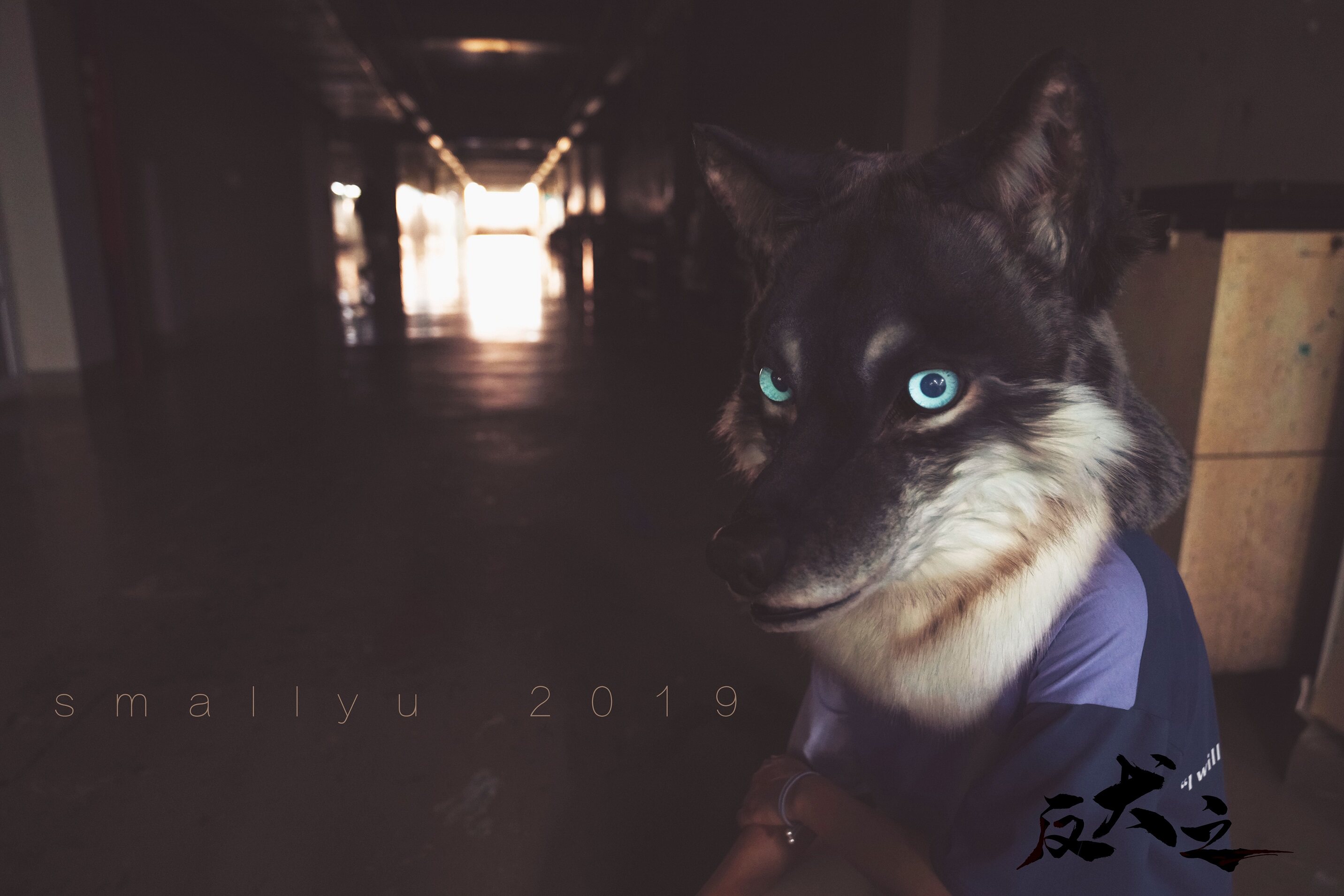 24年新写实派furry兽装头骨 fursuit:打造最真实的你!🐾-furry福瑞-淘宝百科网