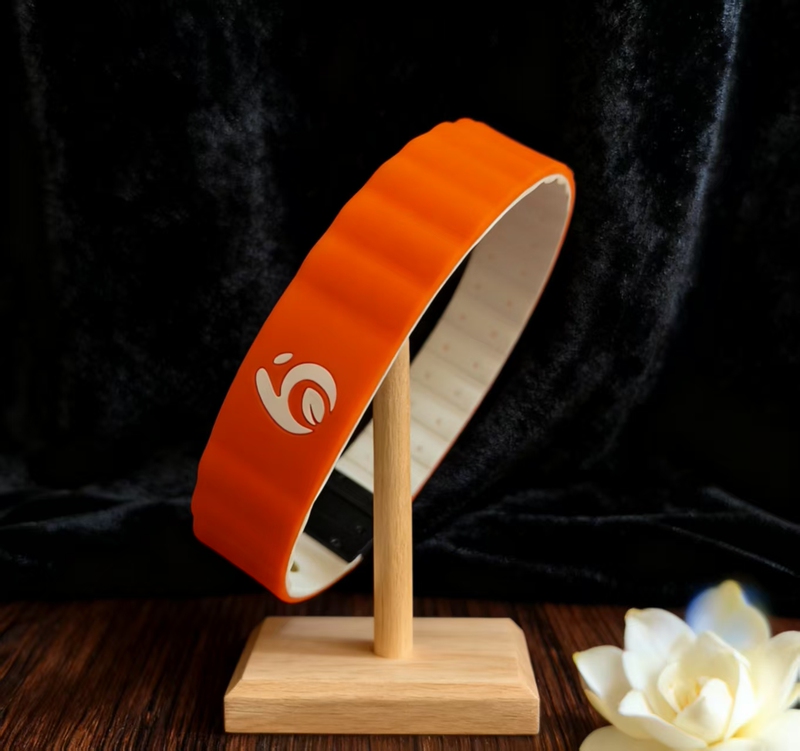 Wol Energy Bracelet 3Rd Generation, Upgraded Version of Warren Leff