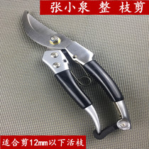 Zhang Koizumi whole branch cut ZH-102 gardening scissors to cut branches and branches to cut branches to cut fruit trees forest cut and green cut