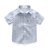 Павлин синий короткий рукав