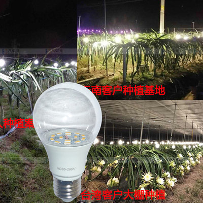 Seedling imitation sun plant light group fill light household sunshine flowers Full spectrum meaty indoor bulb Vegetables