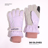 6298-звездочный небо пурпур