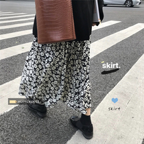 Summer Korean version of elastic waist long floral skirt women retro high waist thin A- line dress knee long skirt tide