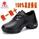 牛霸道 Туфли, кожаная спортивная обувь, демисезонная танцующая ткань, из натуральной кожи