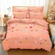 Chăn bông ký túc xá sinh viên đơn đôi 200x230 chăn che mùa đông 1,5m1,8 m - Quilt Covers chăn phao trần	