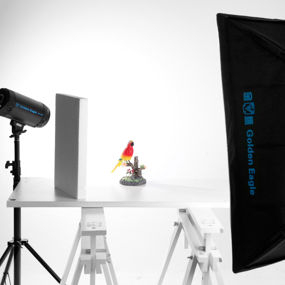 Usd 22402 Golden Eagle Led Photography Light Camera Camera