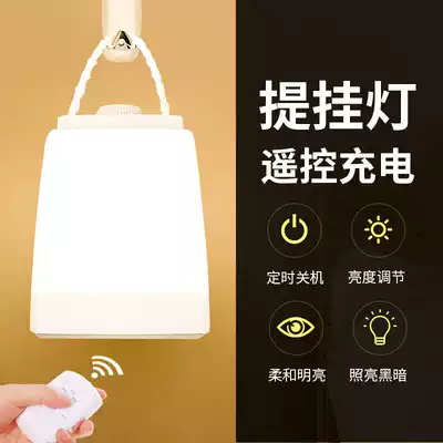 Night light Breastfeeding rechargeable remote control led table lamp Bedroom bed headlight Creative romantic net red shaking baby