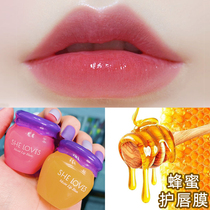 Honey Guard Lip Film Nourishes Desalinated Lip Gloss cream Moisturizing Female female Affordable Lip Care Little Honey Jar