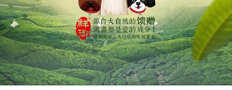 Fresh Pet Pet Dog Snacks Duck Dry Strip Clear Clear to Tear Marks Net Trọng lượng 100g thức an cho chó bao 50kg