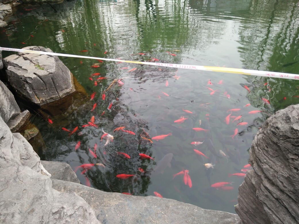 宏浩商贸