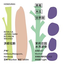 Minority coffee beans Honduran Molly estate washed Bourbon Fresh baker boutique handmade coffee beans