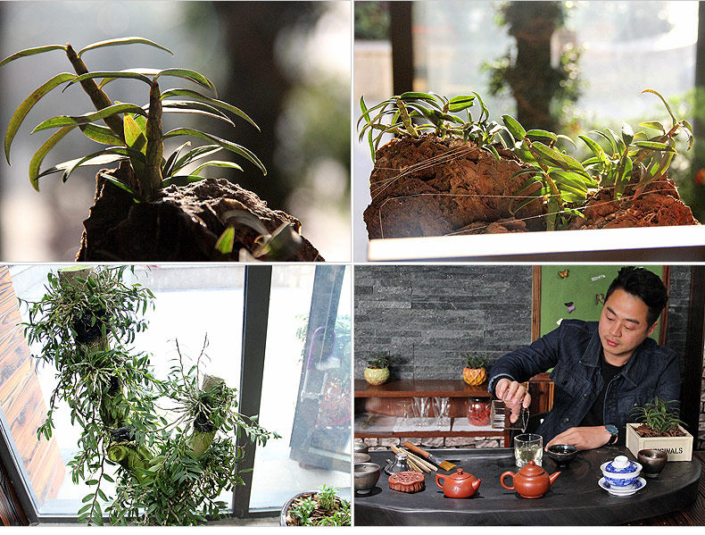 0409 Miaozi 790_04.jpg