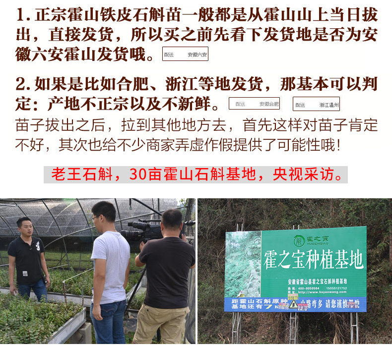 0226 Iron 4 Miao 790_09.jpg