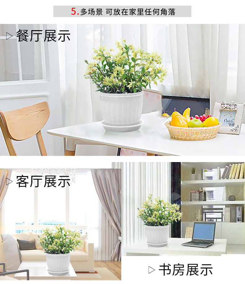 0701 Саженцы 3 горшки 790_11.jpg