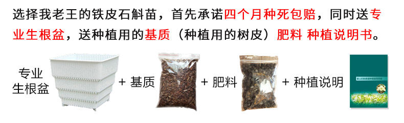 0226 Iron 4 Miao 790_04.jpg