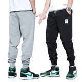 Весенние утепленные мужские осенние трендовые штаны для отдыха, 2025 года, оверсайз