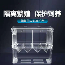 Guppy breeding box isolation box large spawning hatching delivery room tropical fish small fish fry